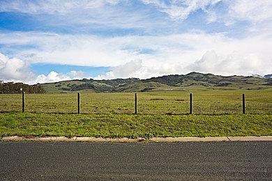 《陆行鸟GP》将停止后续更新 游戏暂不停服