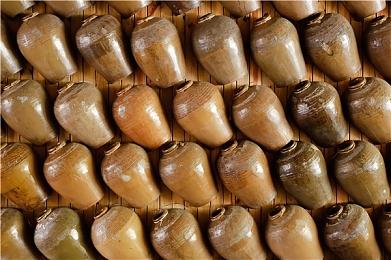 《艾尔登法环》DLC新宣传图和截图 老人枯瘦狰狞